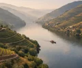 Vallée du Douro depuis Porto : croisière, train ou excursion : photo de couverture pour illustrer cet article