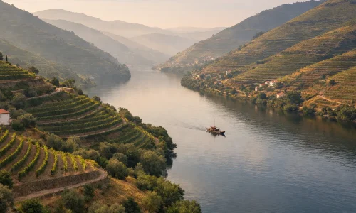 Vallée du Douro depuis Porto : croisière, train ou excursion : photo de couverture pour illustrer cet article