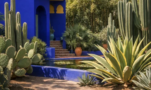 Jardin Majorelle : préparer sa visite et l'intégrer à Marrakech : photo de couverture pour illustrer cet article