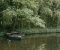Jardins à visiter en Normandie : idées de balades entre mer et campagne : photo de couverture pour illustrer cet article