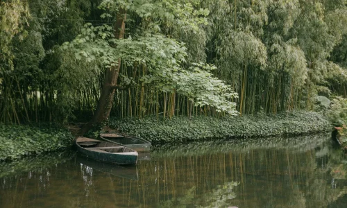 Jardins à visiter en Normandie : idées de balades entre mer et campagne : photo de couverture pour illustrer cet article