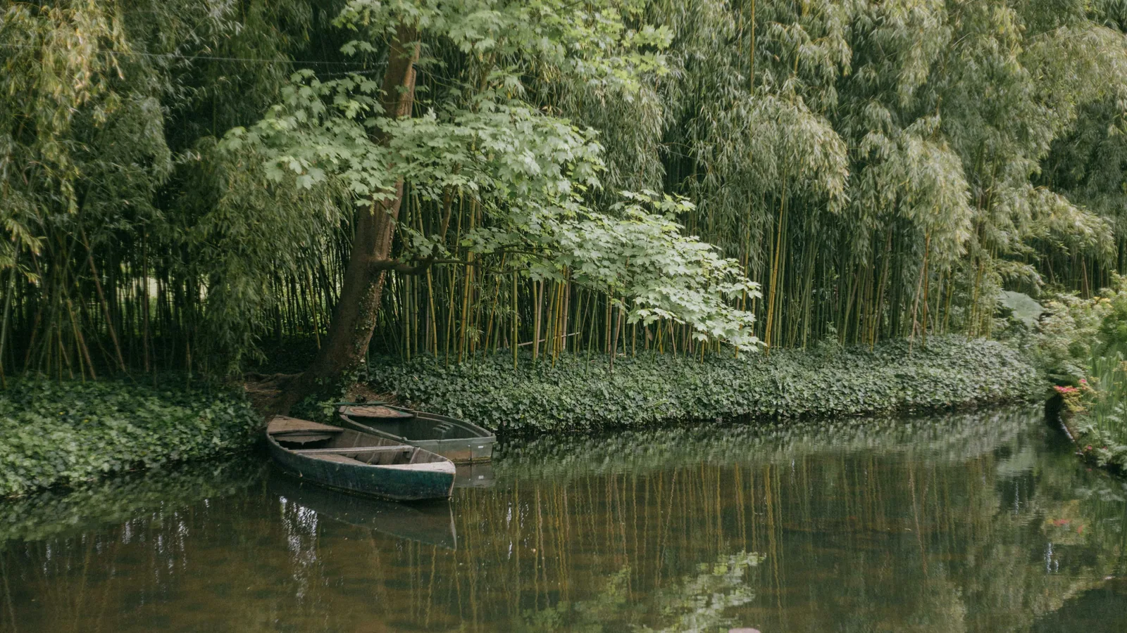 Jardins à visiter en Normandie : idées de balades entre mer et campagne : photo de couverture pour illustrer cet article