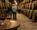 Caves de Porto à Vila Nova de Gaia : choisir une visite et une dégustation : photo de couverture pour illustrer cet article