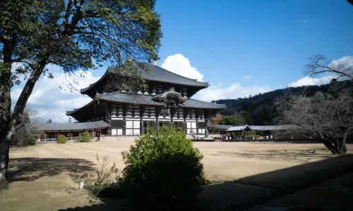 Nara au Japon : organiser une balade entre temples, parc et ruelles : photo de couverture pour illustrer cet article