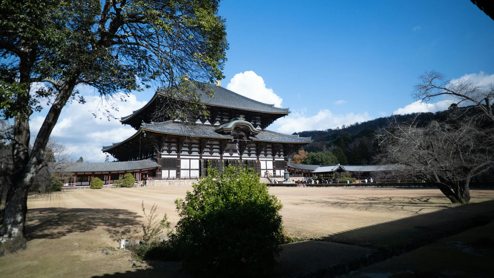 Nara au Japon : organiser une balade entre temples, parc et ruelles : photo de couverture pour illustrer cet article